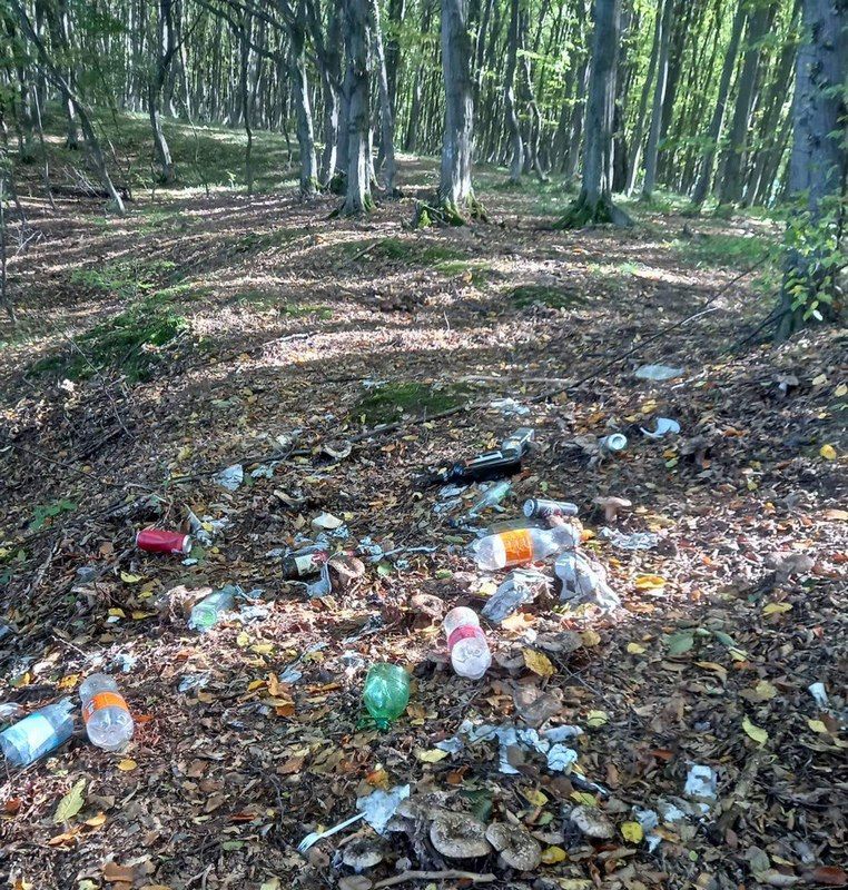 На горі Трикутник у Воскресінцях "добродії" розкидали сміття 1