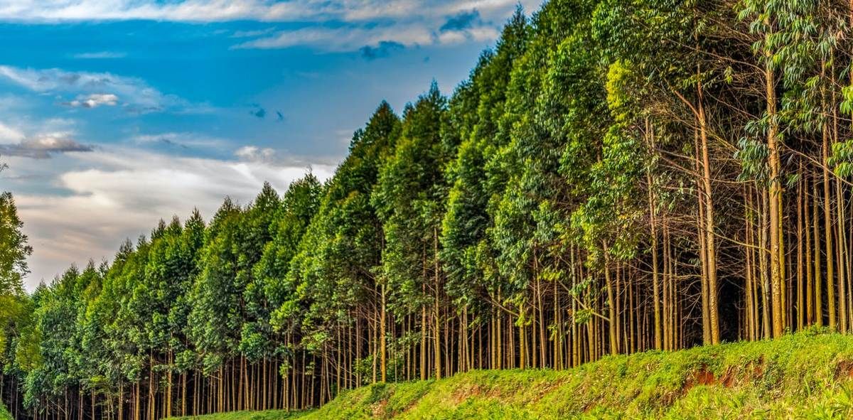 Дати, іменинники, свята 18 вересня 2