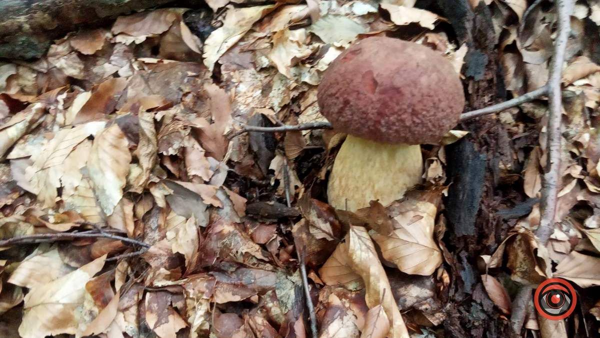 24 вересня - свята, іменинники та пам'ятні дати 4