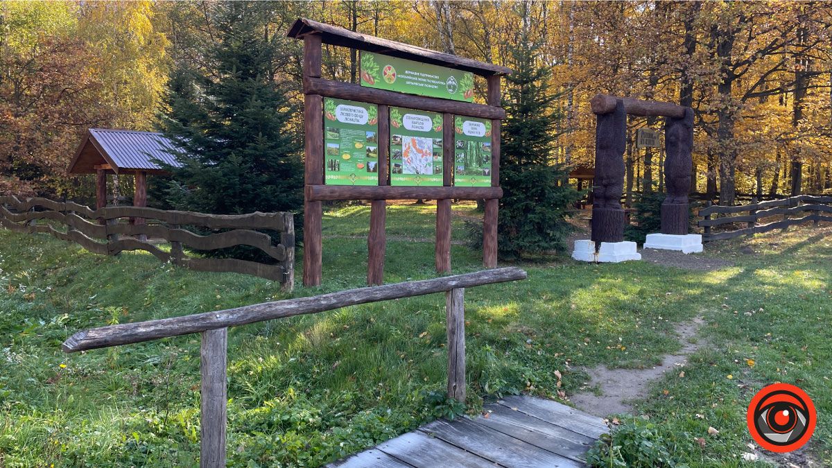 Осінній відпочинок: чарівна локація на Коломийщині 6