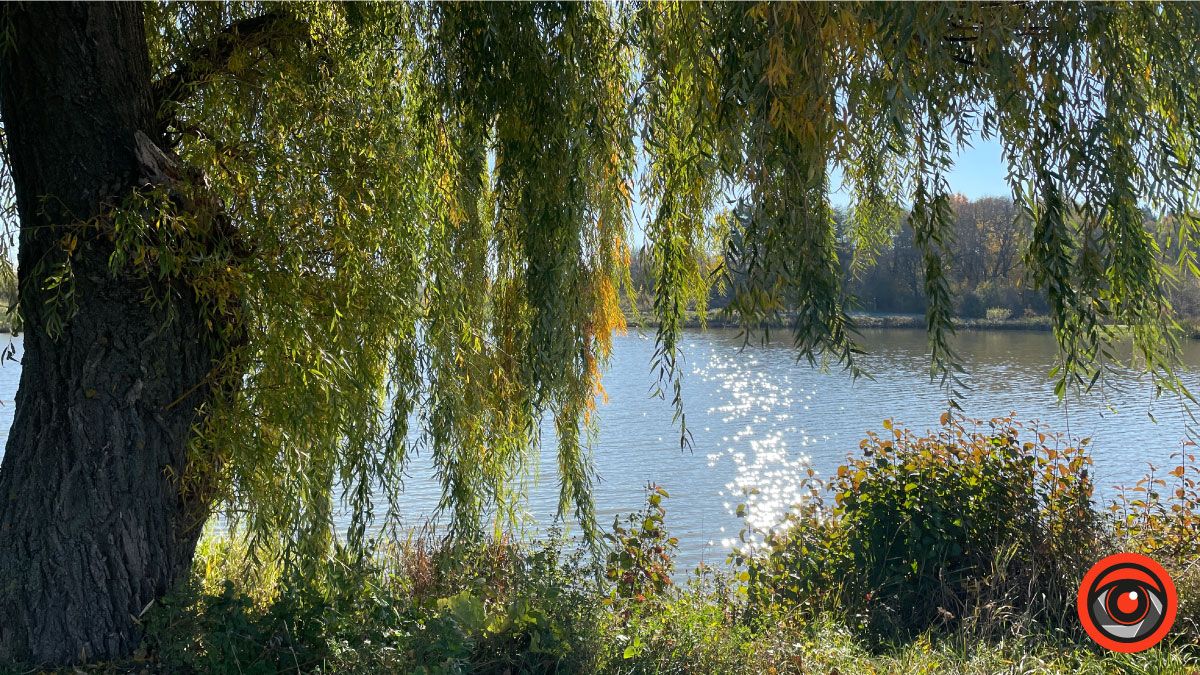 Місце для релаксу | мандруємо Коломийщиною восени 6