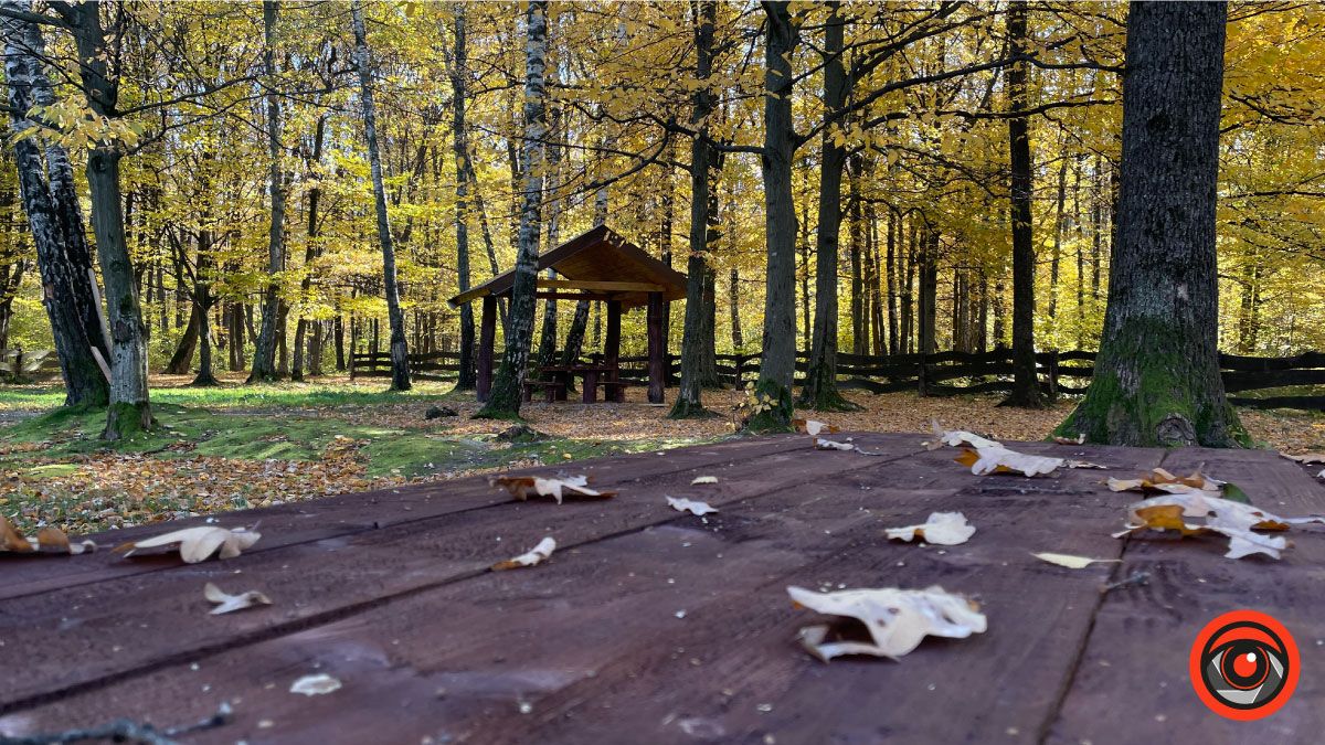 Осінній відпочинок: чарівна локація на Коломийщині 8