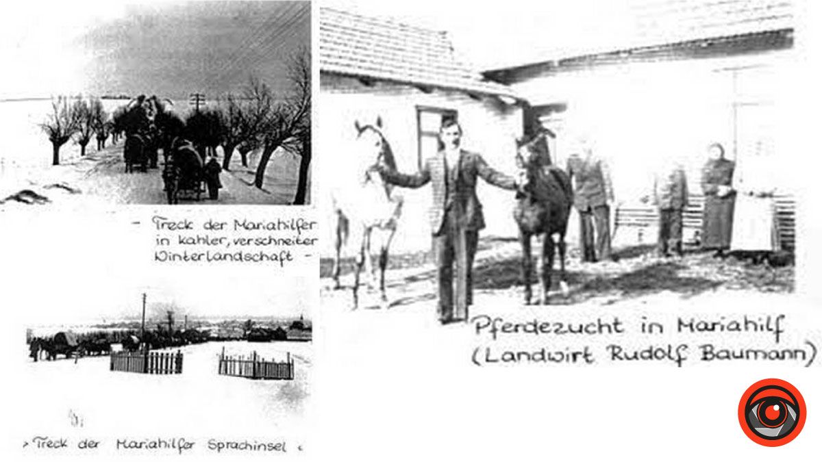 Карлсберг, врятовані реліквії та перші німецькі колоністи Коломиї: досліджуємо Маріягільф 5