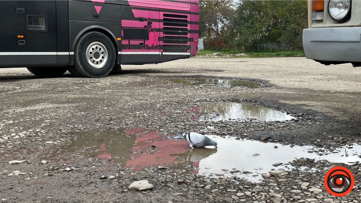 Головне колеса не погубити: жахливий заїзд на автостанцію в Коломиї