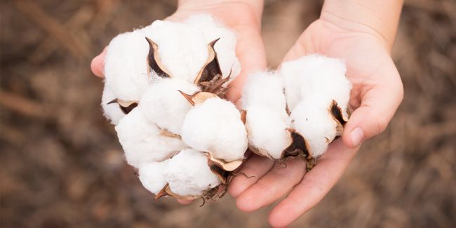 7 жовтня: цей день в календарі 1