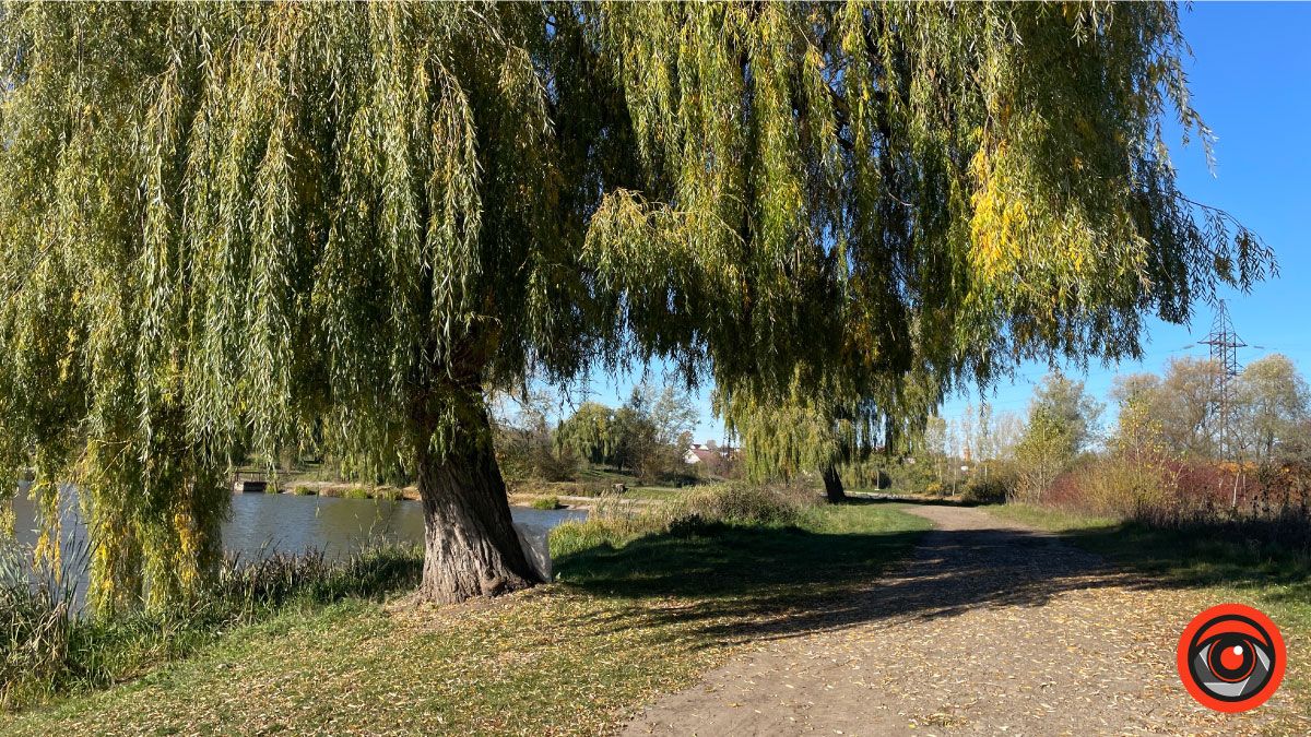 Місце для релаксу | мандруємо Коломийщиною восени 9