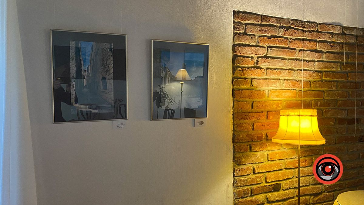 Дев'ять з половиною днів | Спільна попленерна виставка у Коломиї 2