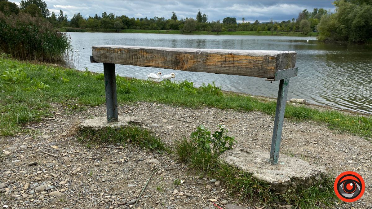 Одна як перст: історія єдиної лавки на Шевченківському озері 5