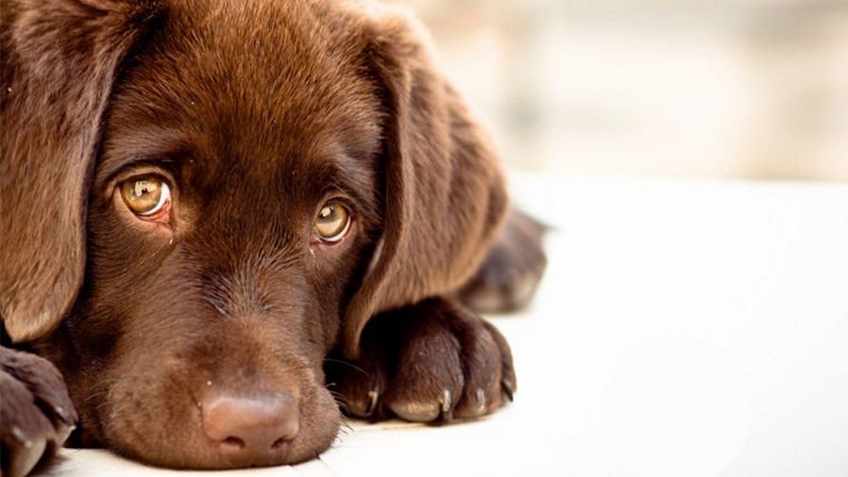 4 жовтня: що нині за день