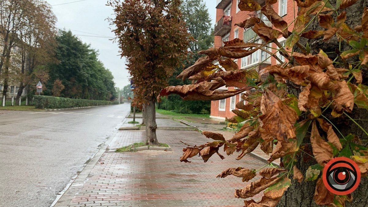 Бабине літо, давай не прощатися! Погода у Коломиї на 19 жовтня