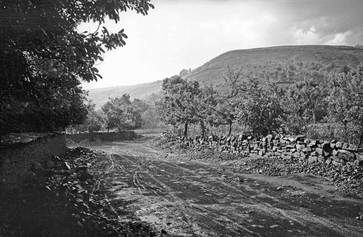 Мальовничі села Коломийщини з минулого століття | Городниця 14