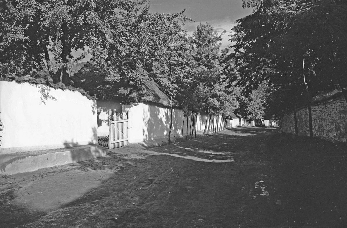 Мальовничі села Коломийщини з минулого століття | Городниця 12