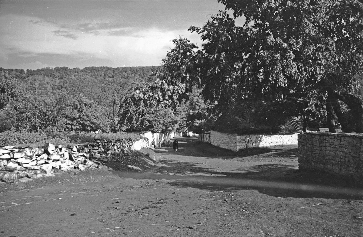 Мальовничі села Коломийщини з минулого століття | Городниця 13