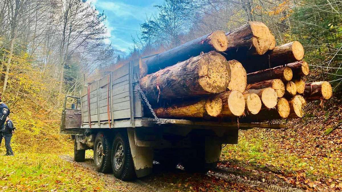 Косівська поліція зупинила вантажівку із незаконно вирубаними деревами