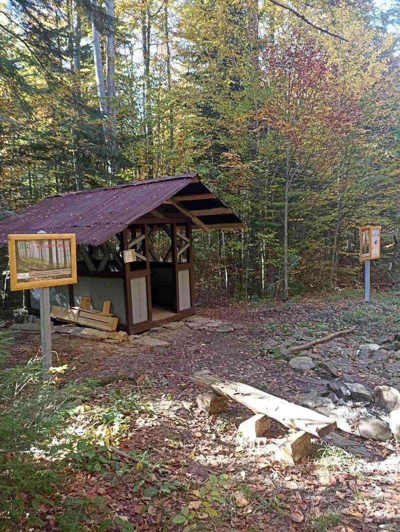 Місцеві мешканці ініціювали створення відпочинкової зони на Косівщині 3