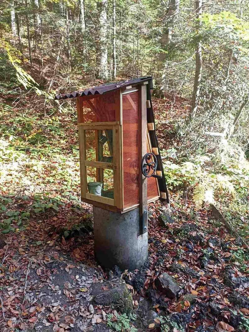 Місцеві мешканці ініціювали створення відпочинкової зони на Косівщині 2