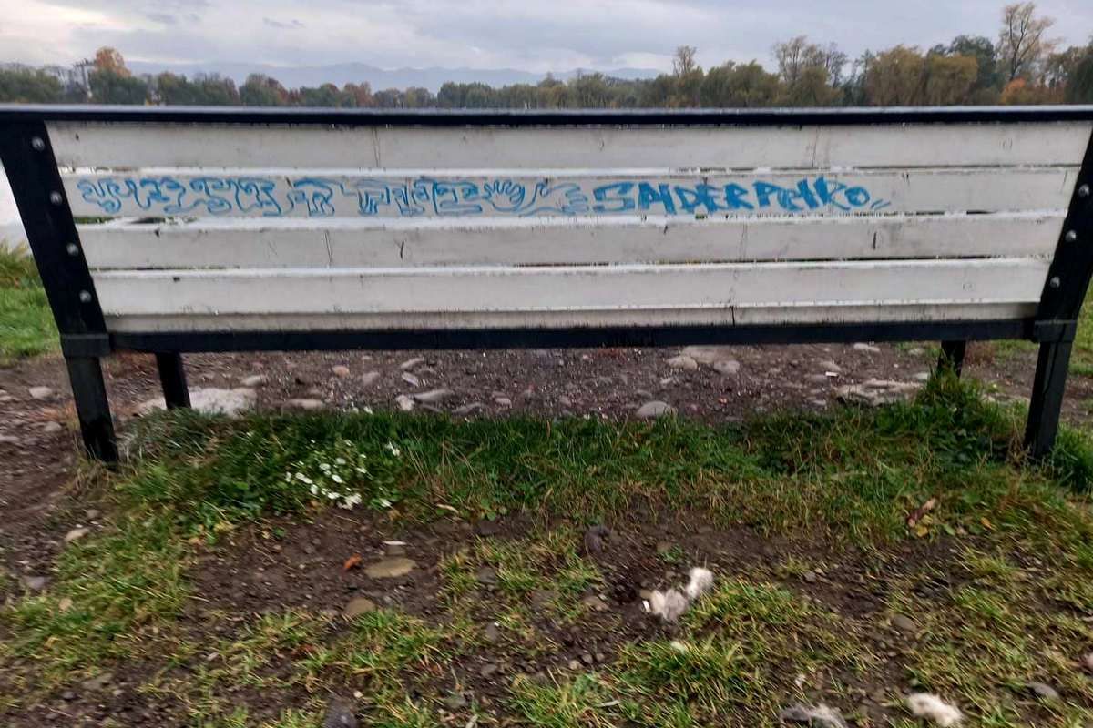 Що натворили вандали у Надвірній 1