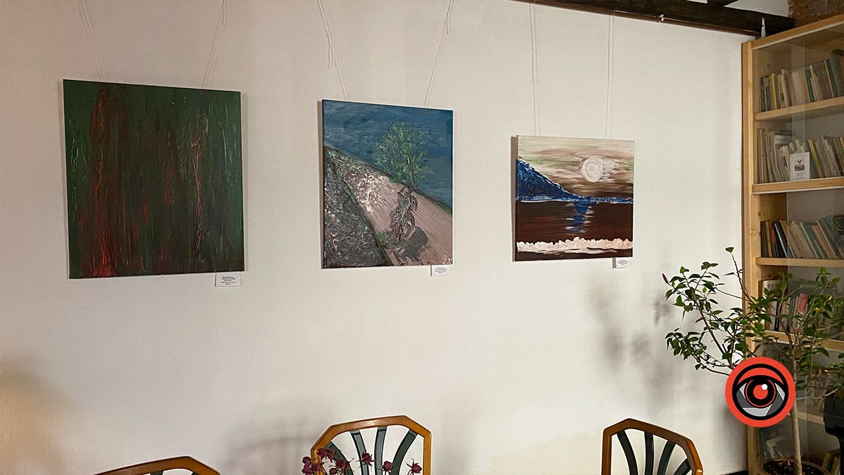 Дев'ять з половиною днів | Спільна попленерна виставка у Коломиї 3