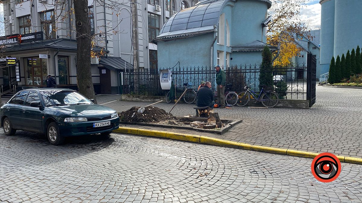 Ще мінус одне дерево на бульварі Лесі Українки 3