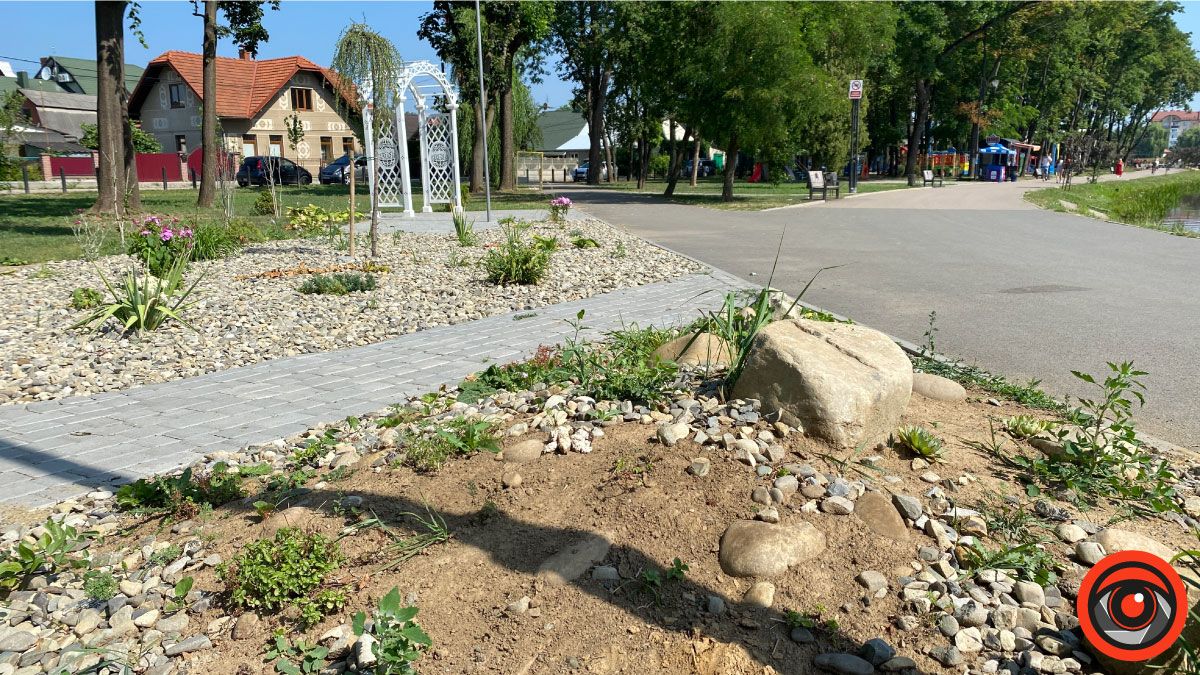 Секрет простий: міське озеро в Коломиї обізвали ставком заради 75 метрів вздовж берега 3