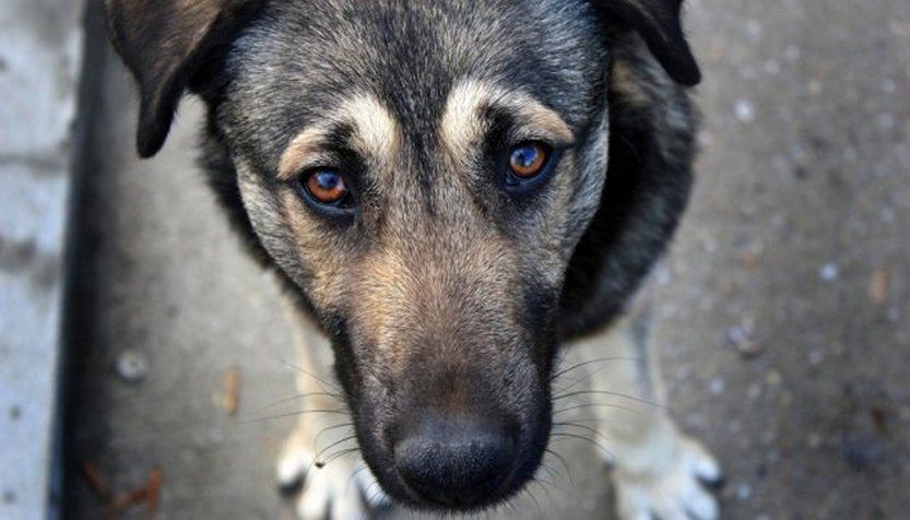 Іменини та інші свята 3 жовтня 1