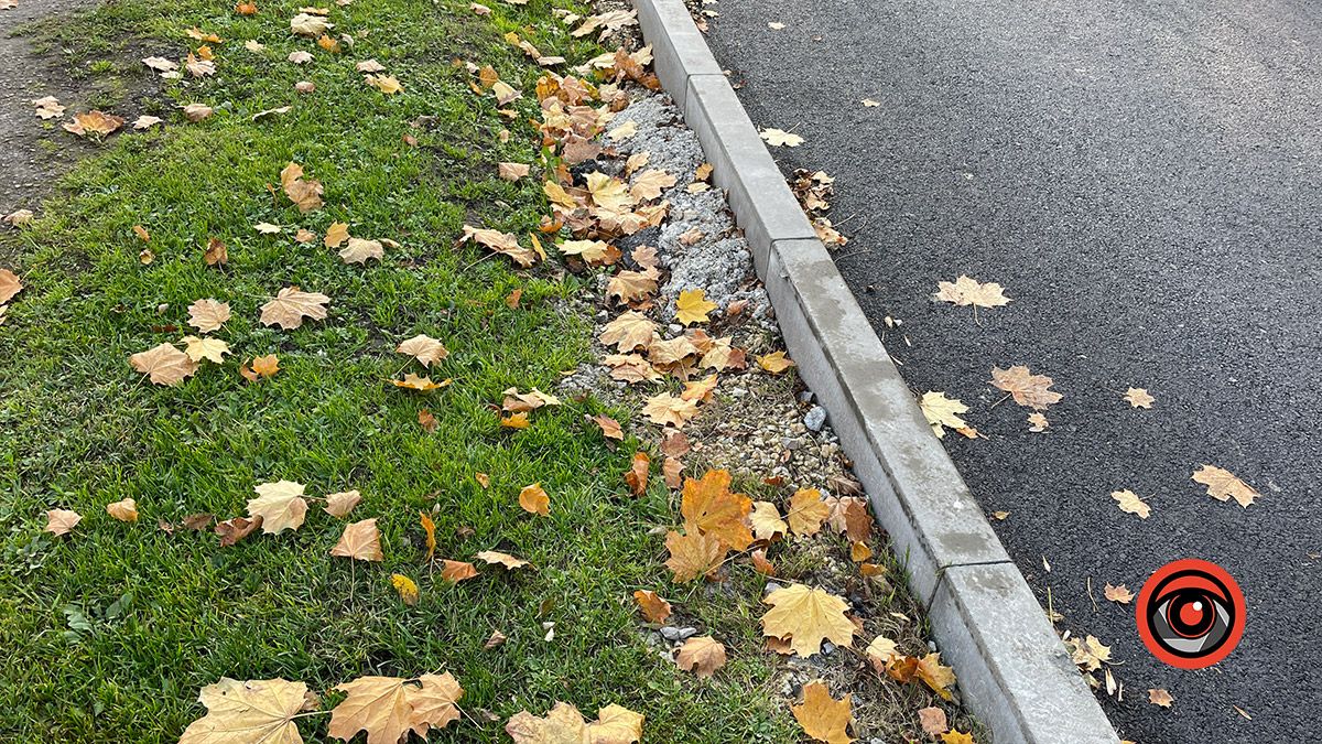 Люди ж не машини: на вул. Чайковського непрохідні тротуари 8