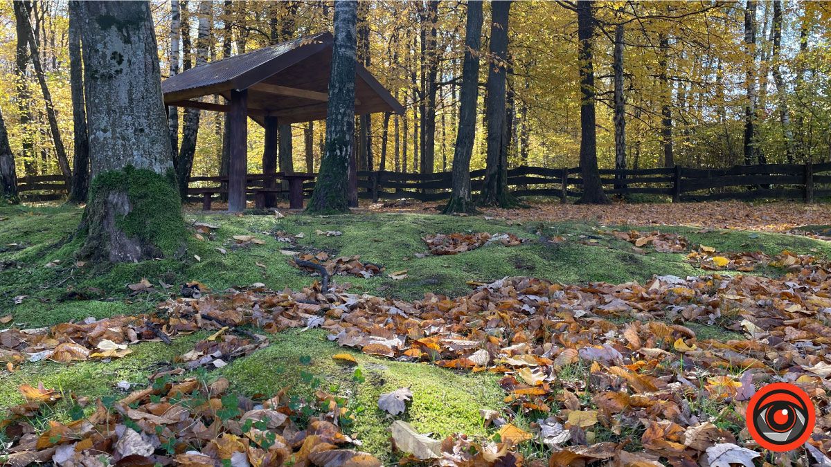Осінній відпочинок: чарівна локація на Коломийщині 4