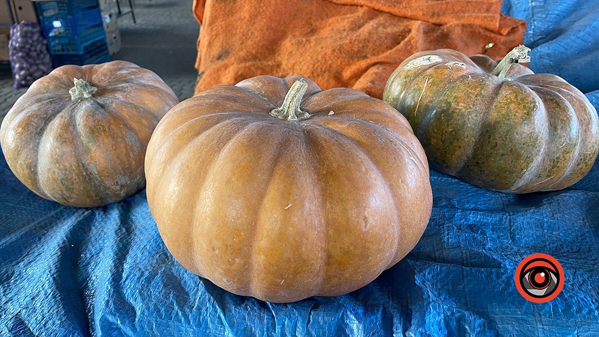 Кольорові гарбузяки: вартість у Коломиї та поради для зберігання 2