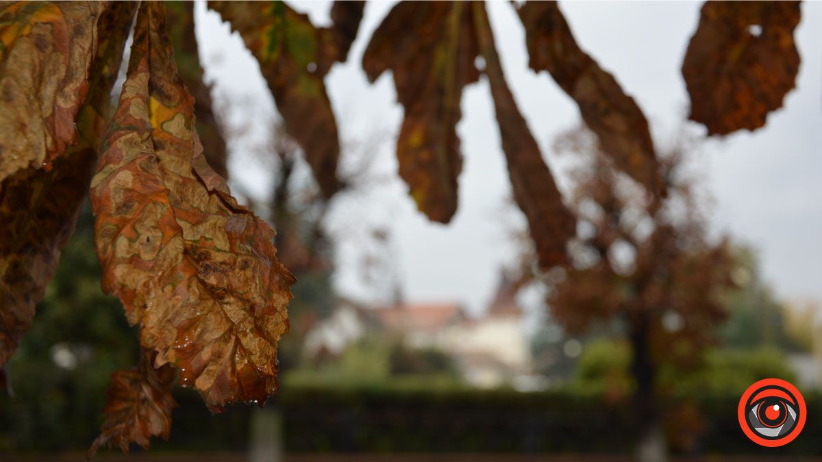 То дощ, то сонце - стрибки погоди у Коломиї 2 жовтня