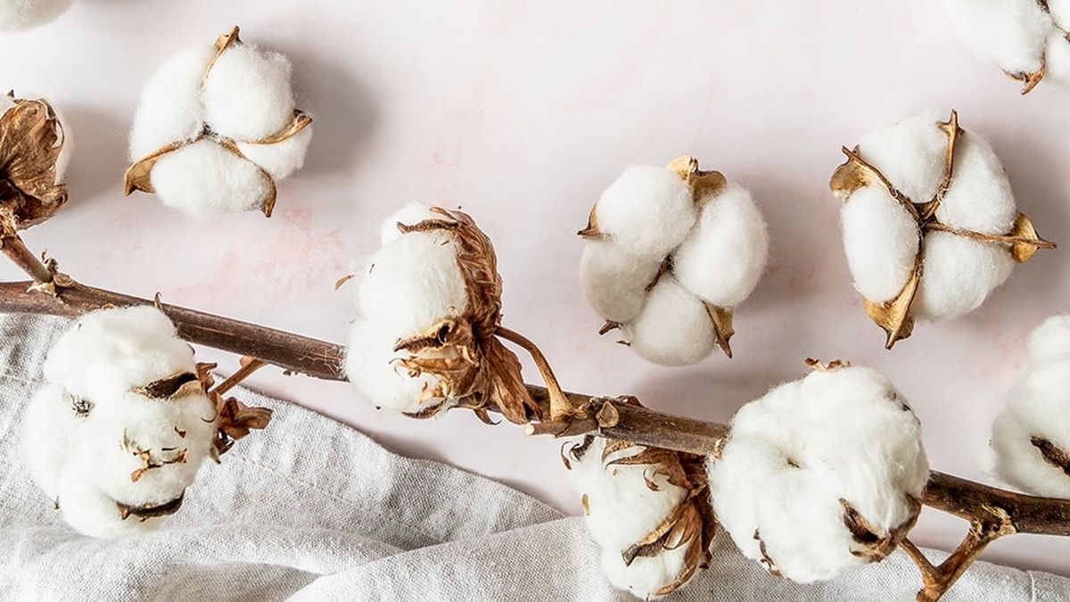 7 жовтня: цей день в календарі