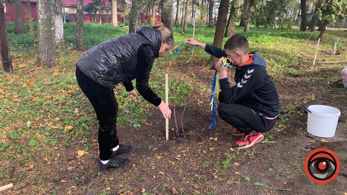 Алею пам'яті висадили біля реабілітаційного центру для військових у Ценяві 5