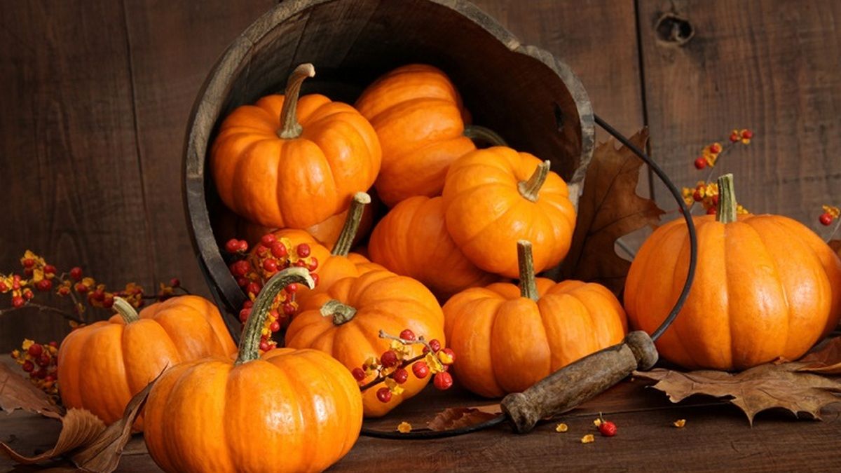 Кольорові гарбузяки: вартість у Коломиї та поради для зберігання 3