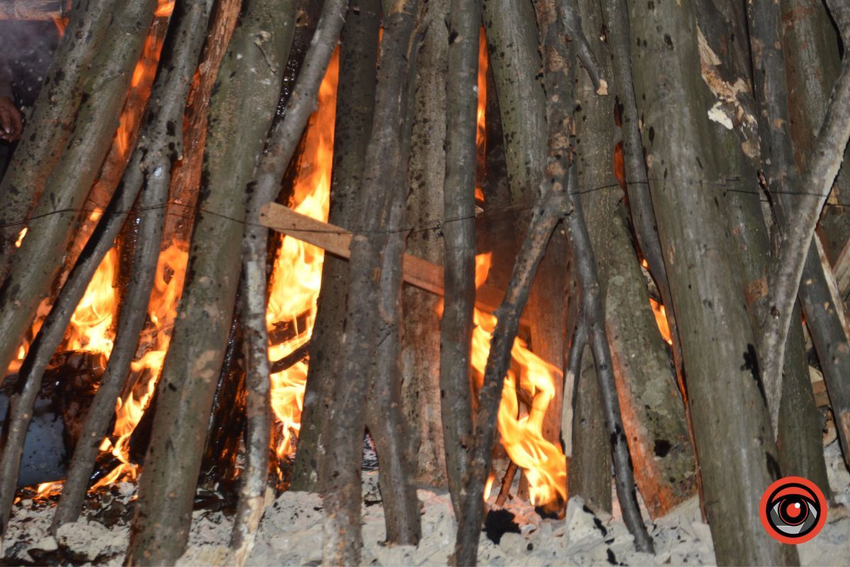 Коломия патріотично відзначила День Героїв різних поколінь та епох | Фоторепортаж 16