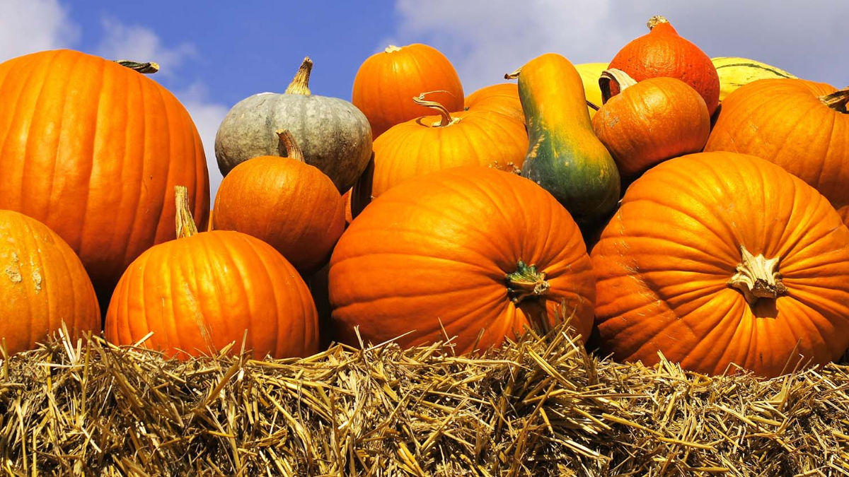 Хмарно, але без опадів | Погода на 13 жовтня 2