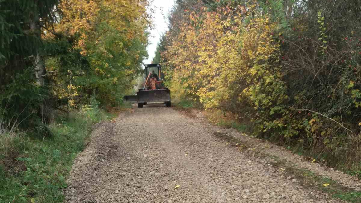 У Городенківській ТГ завершили ремонт лісової дороги | Фото