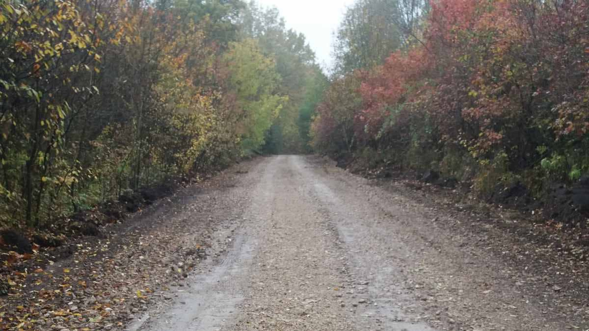 У Городенківській ТГ завершили ремонт лісової дороги | Фото 3