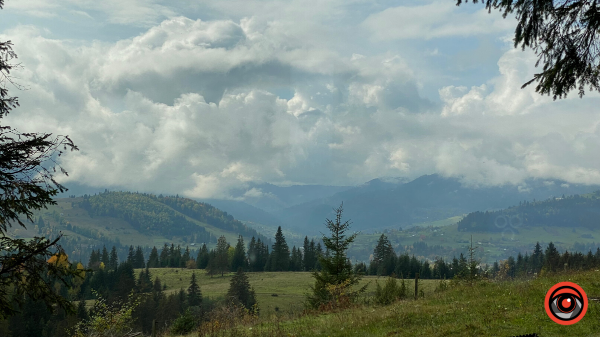 Жити грибами і поміж грибів: Юрій Соломченко про життя і скарби Карпат 13