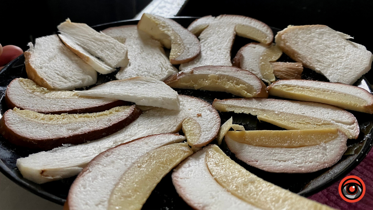 Жити грибами і поміж грибів: Юрій Соломченко про життя і скарби Карпат 7