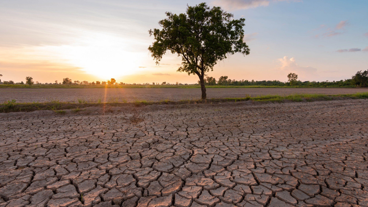 ЕкоҐвалт знову організовує подію у Молодіжному просторі