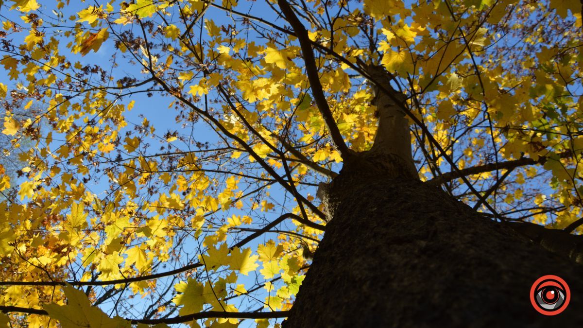 Осіння Коломия | фоторепортаж від Інформатора 27