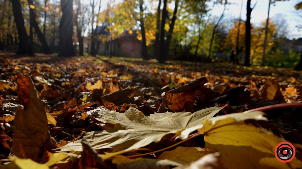 Осіння Коломия | фоторепортаж від Інформатора 23