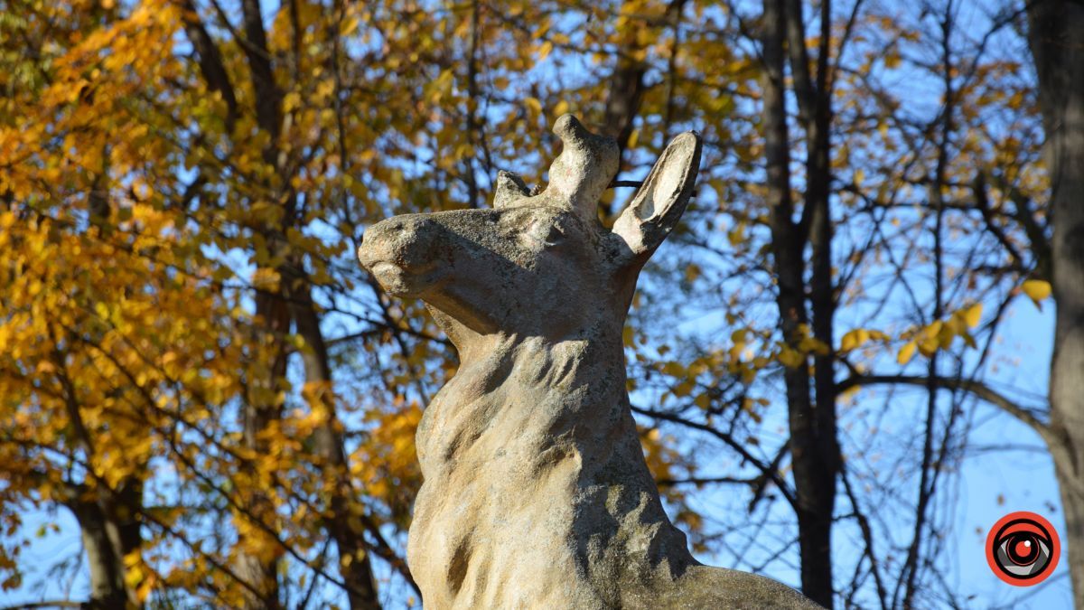 Осіння Коломия | фоторепортаж від Інформатора 20