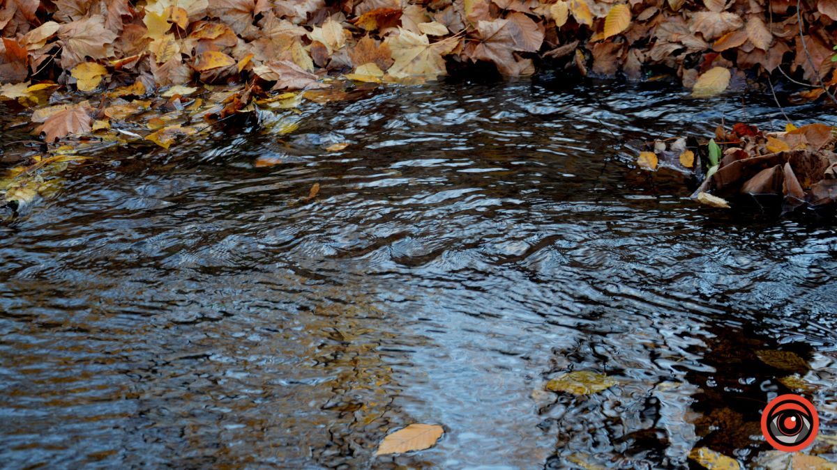 Осіння Коломия | фоторепортаж від Інформатора 18