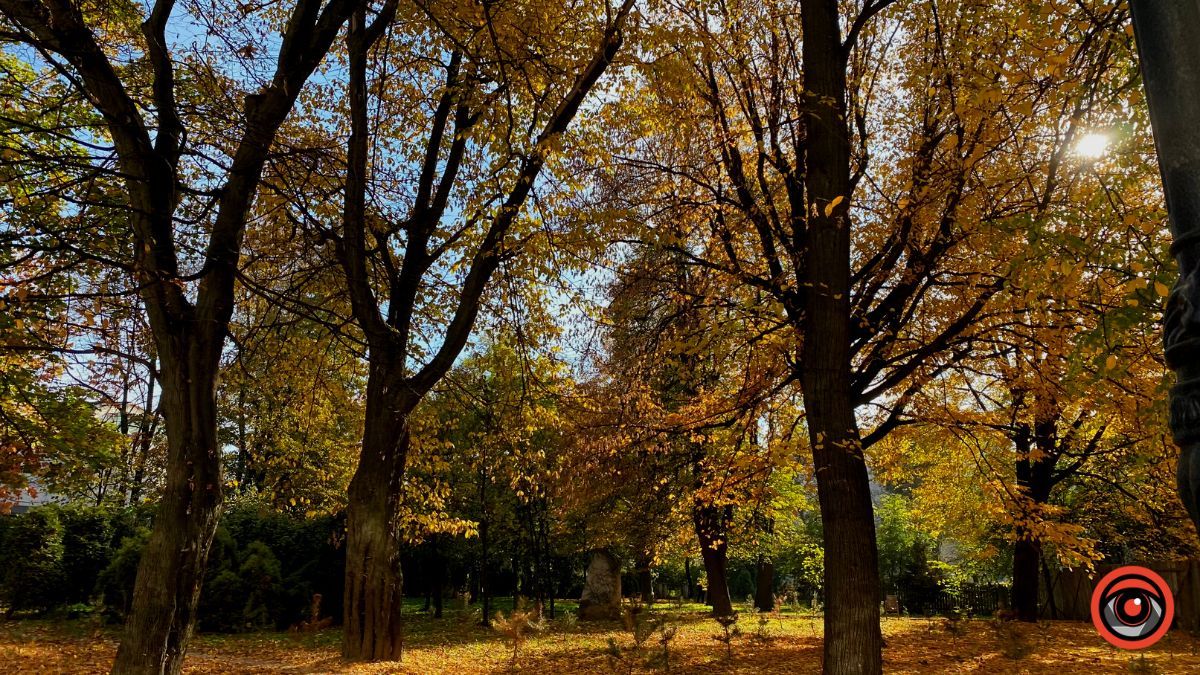 Осіння Коломия | фоторепортаж від Інформатора 4