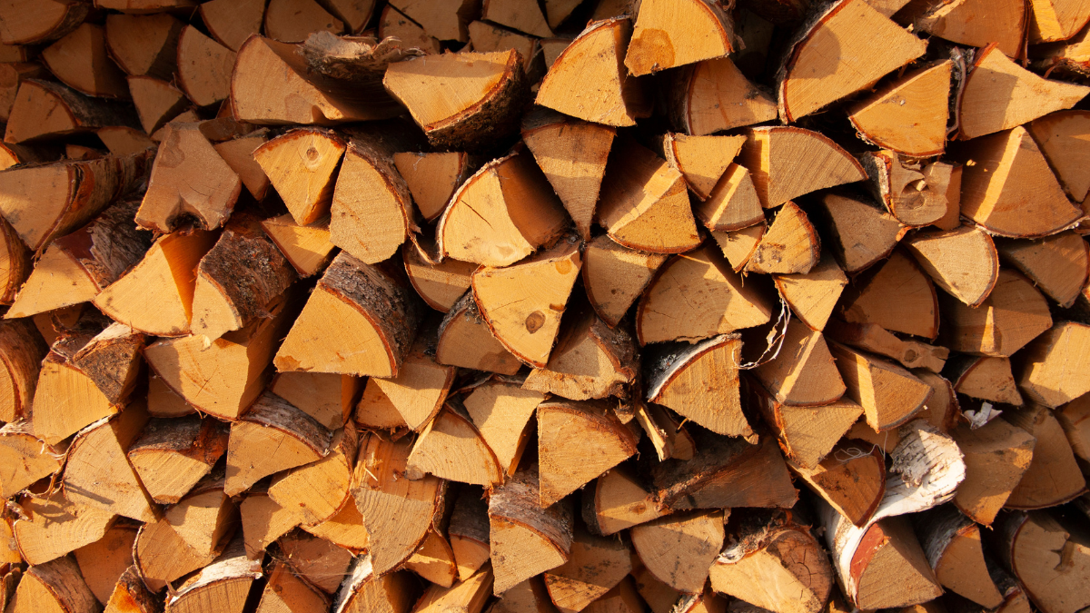 В Україні дрова тепер можна купити онлайн | ДроваЄ