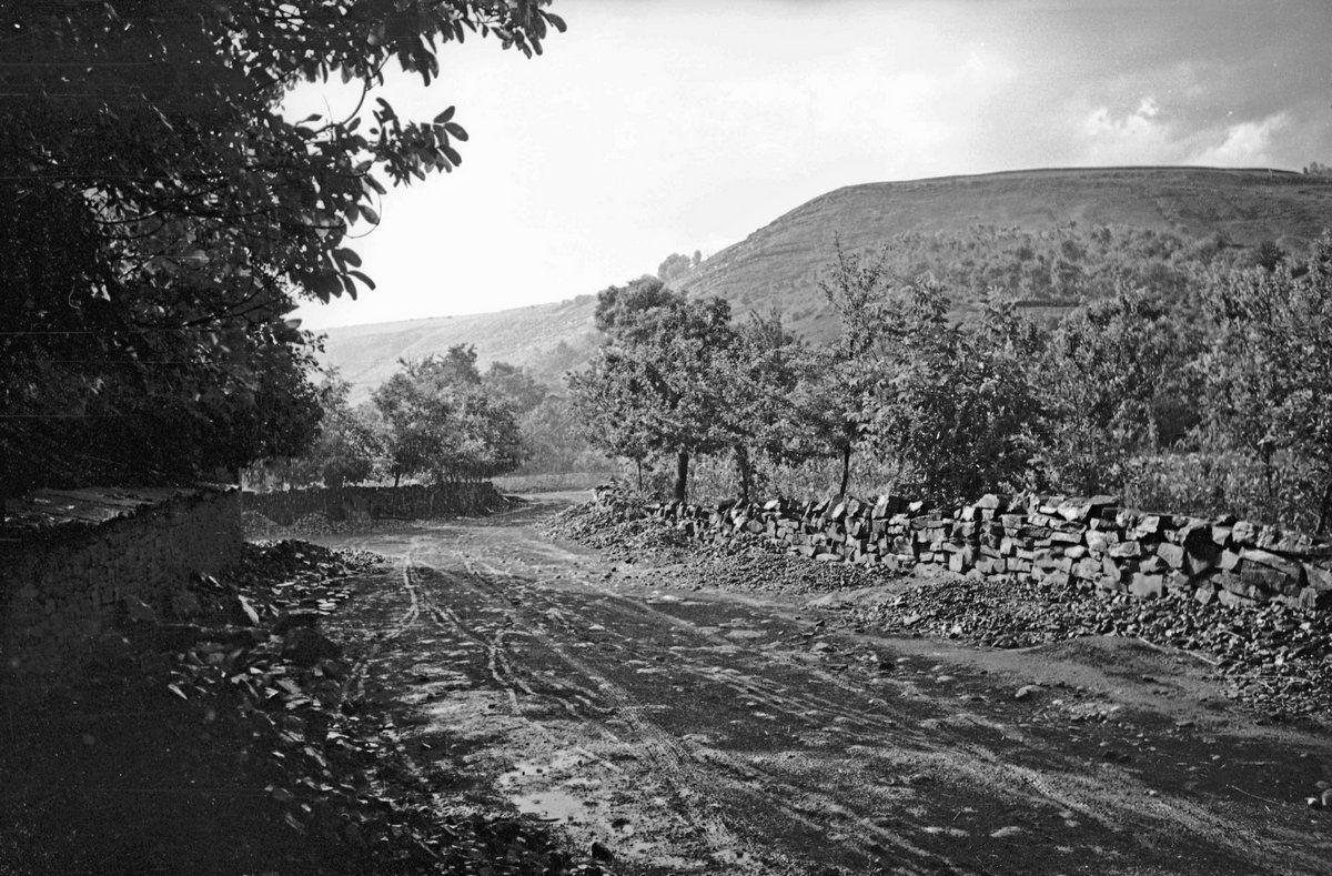 Мальовничі села Коломийщини з минулого століття | Городниця 3