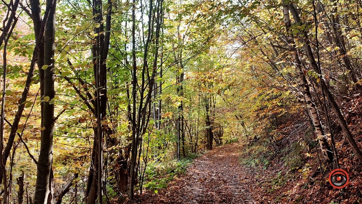 Ще одна фантастична локація для осіннього відпочинку | мальовничий Космач 4