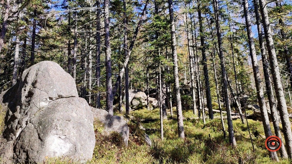 Ще одна фантастична локація для осіннього відпочинку | мальовничий Космач 8