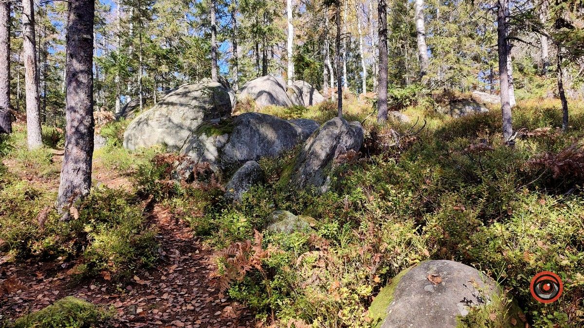 Ще одна фантастична локація для осіннього відпочинку | мальовничий Космач 9