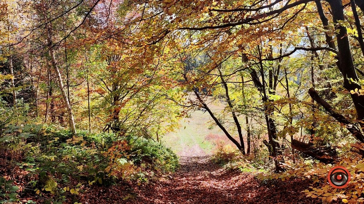 Ще одна фантастична локація для осіннього відпочинку | мальовничий Космач 11